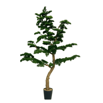 Artificial Bonsai – Floor Plant