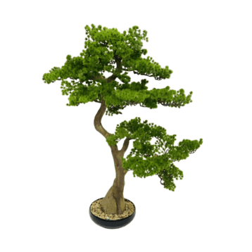 Artificial Bonsai – Multi-Branch Style