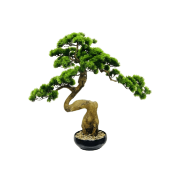 Artificial Bonsai – Sculptural Trunk