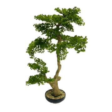 Artificial Bonsai – Tall Twisted-Trunk