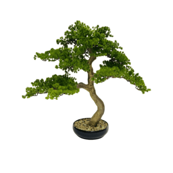 Artificial Bonsai – Wide Canopy
