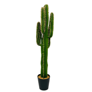 Artificial Cactus – Floor Plant