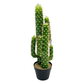 Artificial Cactus – Multi-Arm Cluster