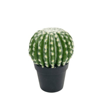 Artificial Cactus – Round Globe