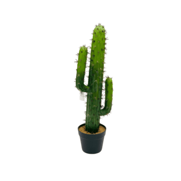 Artificial Cactus – Classic Desert