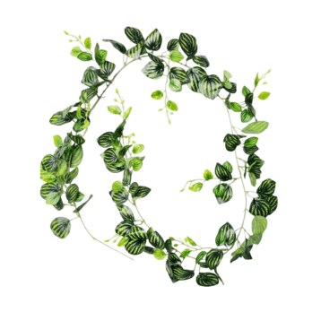 Garland – Variegated Leaf