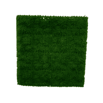 Deep Forest Mat