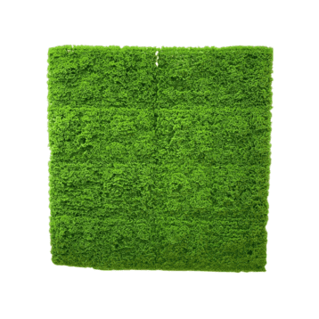 Textured Meadow Mat