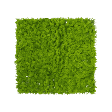 Wild Leafy Moss Mat
