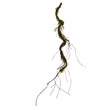 Artificial Vine – Curly Moss