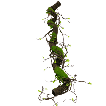 Artificial Vine – Thick Moss Vine
