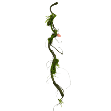 Artificial Vine – Twisted Moss Branch