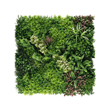 Green Wall - Mixed Botanical