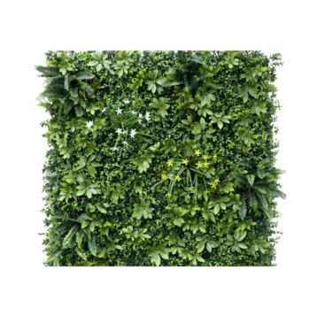 Green Wall - Mix Ferns