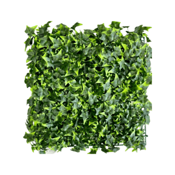 Green Wall - Classic Ivy