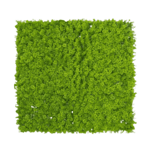 Artificial Moss - AM1