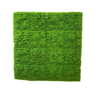 Artificial Moss - AM3