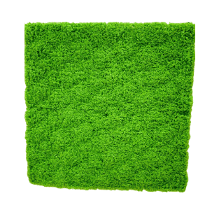 Artificial Moss - AM4