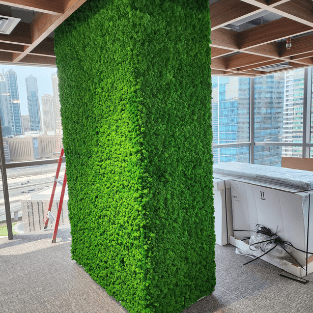 Artificial Moss - AM5