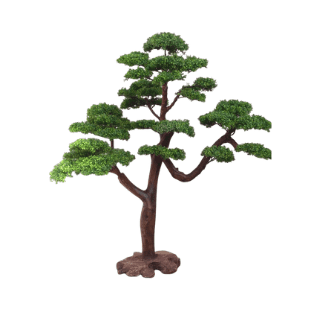 Bonsai Tree - BOT4