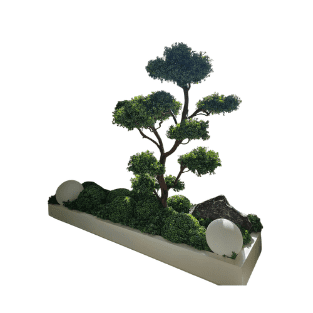 Bonsai Tree - BOT6