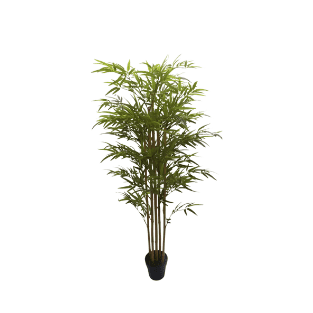 Bamboo Tree - BT3