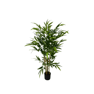 Bamboo Tree - BT4