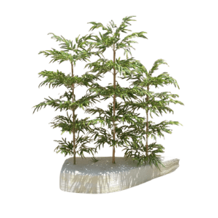 Bamboo Tree - BT6