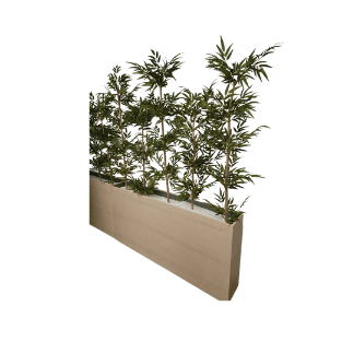 Bamboo Tree - BT7