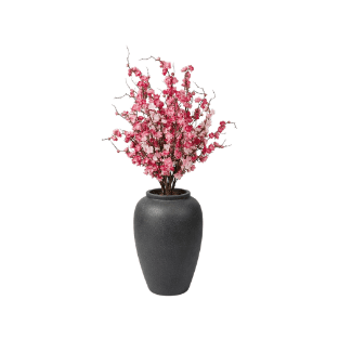Cherry Blossom - CB1