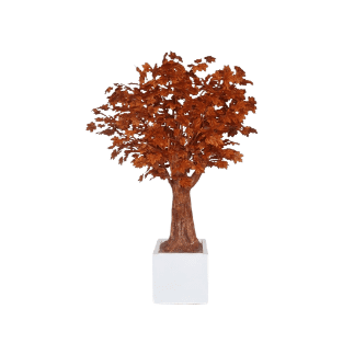 Cherry Blossom - CB2
