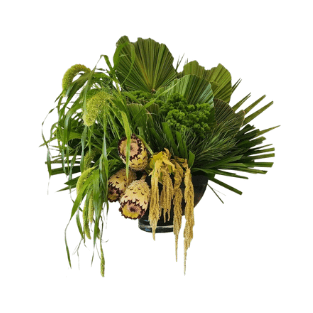 Fresh Plant - FP13