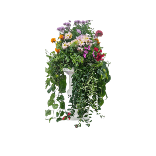 Fresh Plant - FP14
