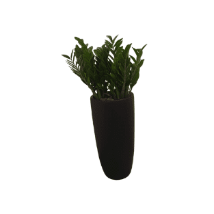 Fresh Plant - FP5