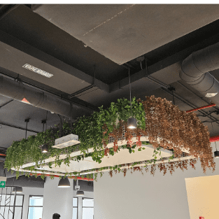 Hanging Plants - HP1