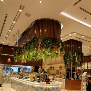 Hanging Plants - HP3