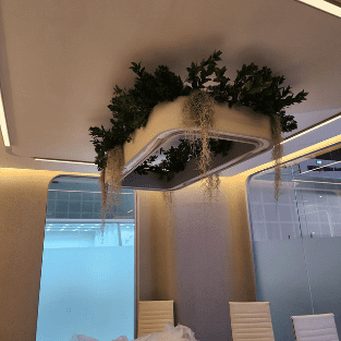 Hanging Plants - HP4