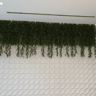 Hanging Plants - HP6