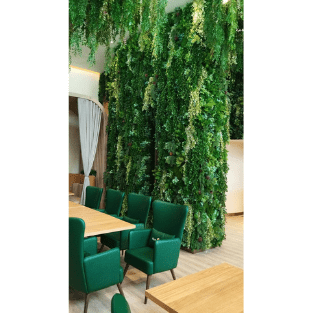 Hanging Plants - HP8