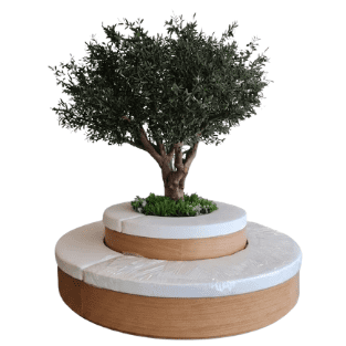 Olive Tree - OLT6