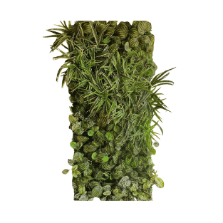 Wall Green - WG13