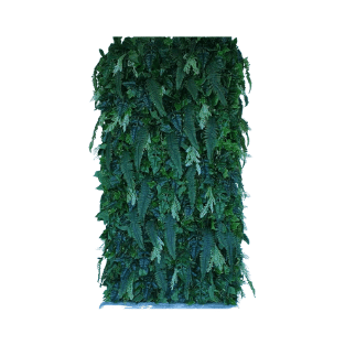 Wall Green - WG14