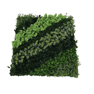 Wall Green - WG15