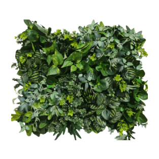 Wall Green - WG16