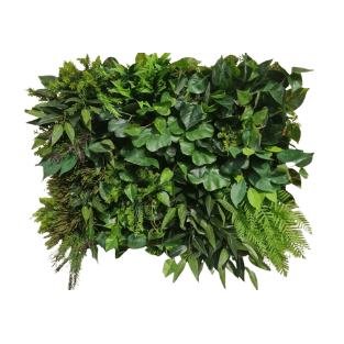 Wall Green - WG17
