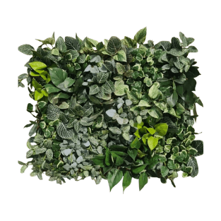 Wall Green - WG18