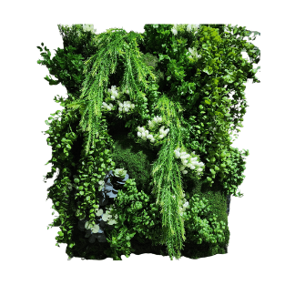 Wall Green - WG19