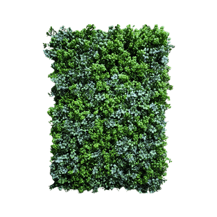 Wall Green - WG21