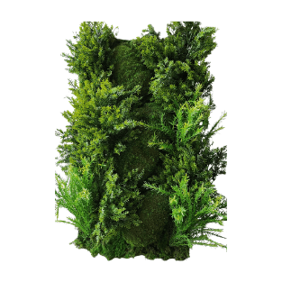 Wall Green - WG22