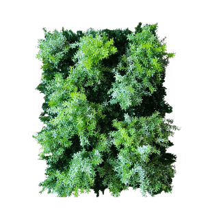 Wall Green - WG23